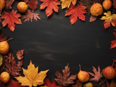 Autumn Leaves And Pumpkins Arranged On A Black Background