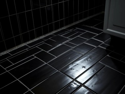 Bathroom Tile With Black And White Tile