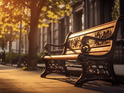 Bench Is Sitting On The Sidewalk During Sunset