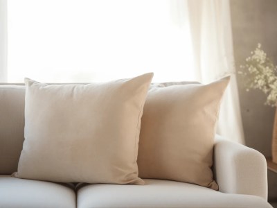 Pair Of Beige Cushions On A Couch