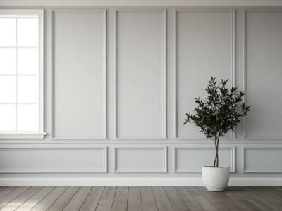 White Room Empty Space With Plants And Window