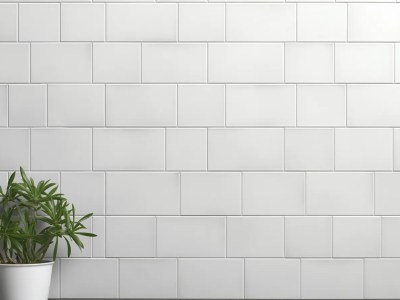 White Tile Wall With A Potted Plant