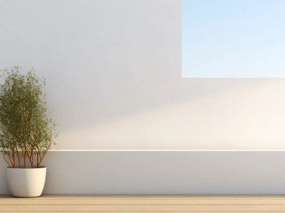 White Wooden Wall With An Outdoors View, Potted Plant In White Planter Isolated To The Wall